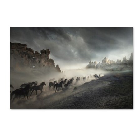 Trademark Fine Art Huseyin Taskin 'Migration' Canvas Art, 30x47 1X01074-C3047GG